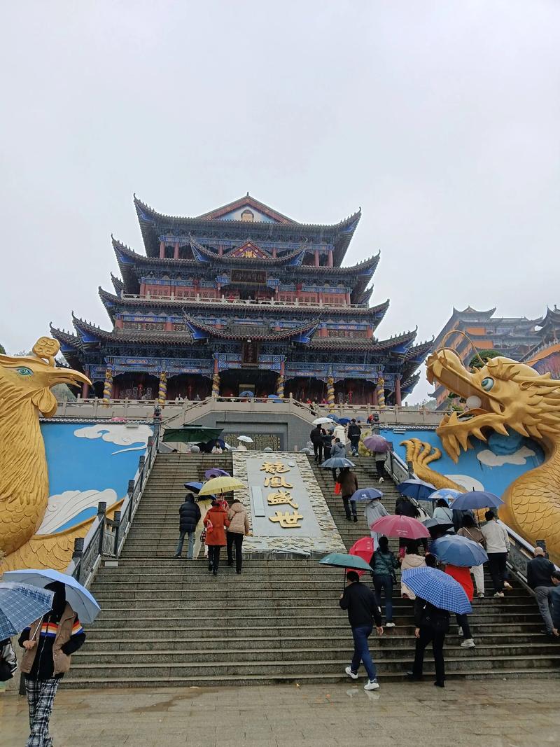 ŶݼʮɿӦ,Ŷݼ׵ص.