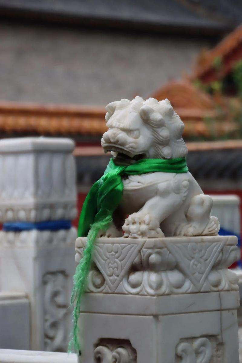 王雷主演的电视剧大全海 王雷主演的电视剧大全海