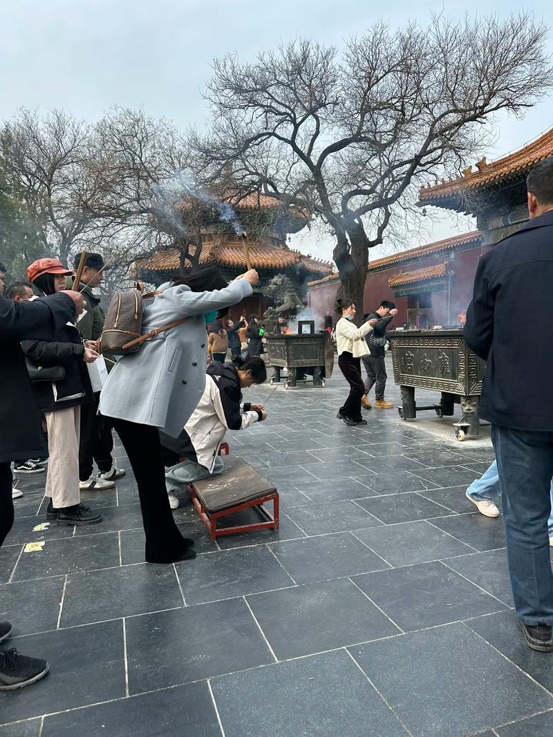 2005年属鸡的人2025年运势 2005年属鸡的人2025年运势