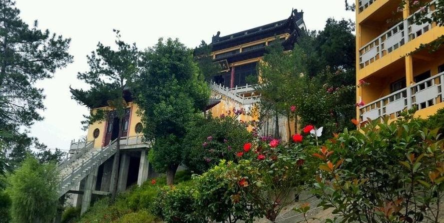 Ħ����Ů���԰����̬��