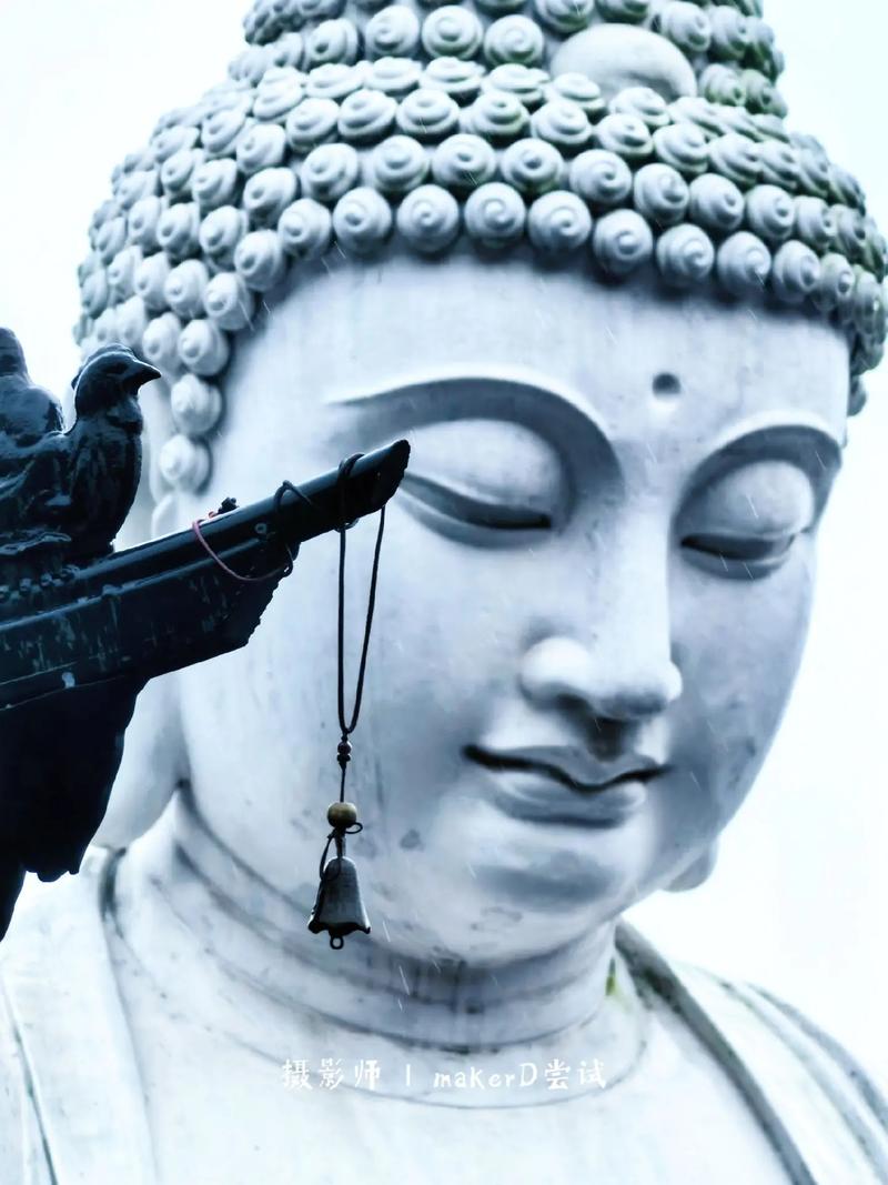 �����ĲƸ����˺���Ů�� ����1959���ղ�����ʲô��˼��