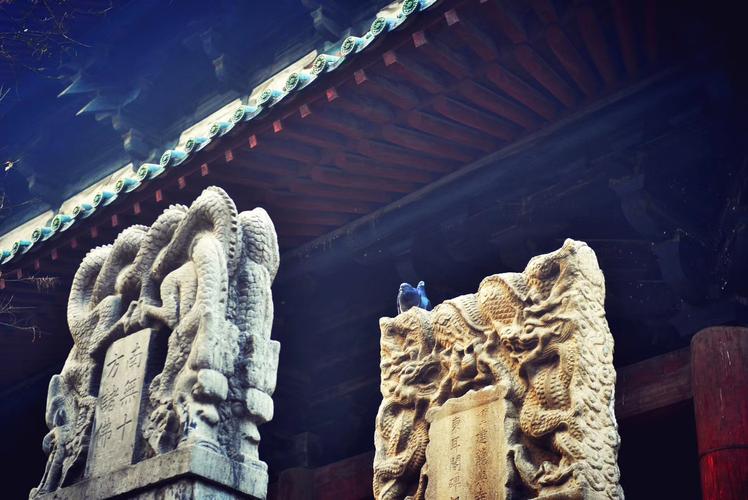 12306��Ӧȡ������ѡ������ ���ǵ���ʧȥ��ʲô