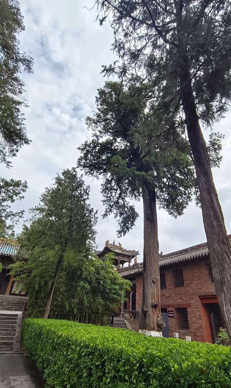 صǩ27ǩҵѱӦ(صǩ27ǩҵ᲻ѱӰ)