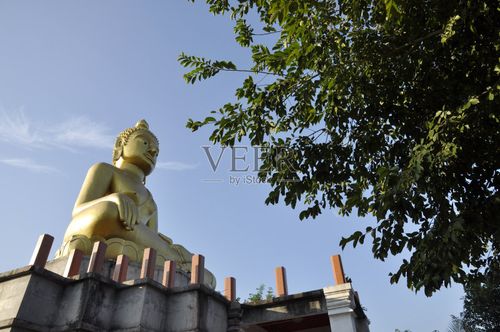 Բѯʷ۸Ƿܽʾ˲Ƹ켣