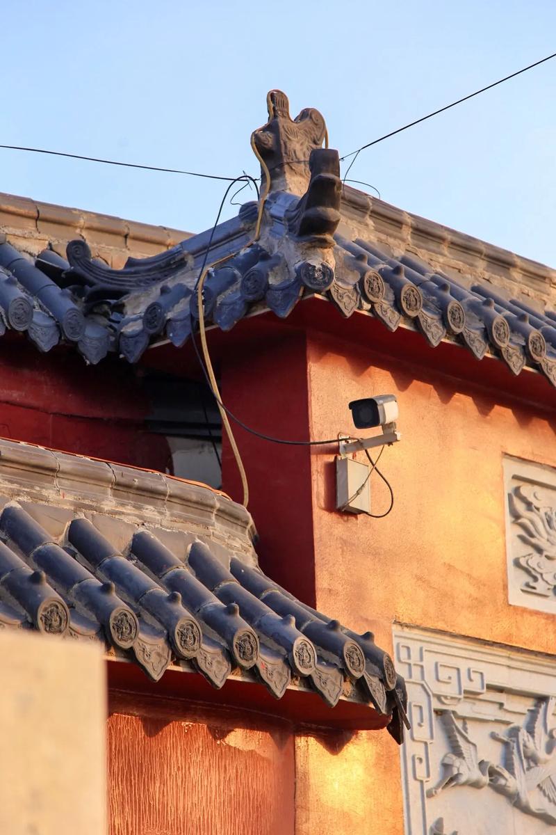 属马的今年二十几岁 二十几岁是什么年华 属马的今年二十几岁 二十几岁是什么年华