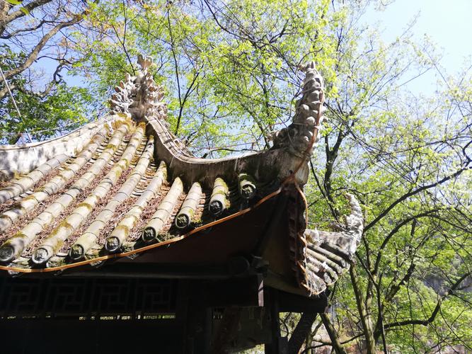 2025年金牛宝宝起名 2025年牛宝宝起名 2025年金牛宝宝起名 2025年牛宝宝起名