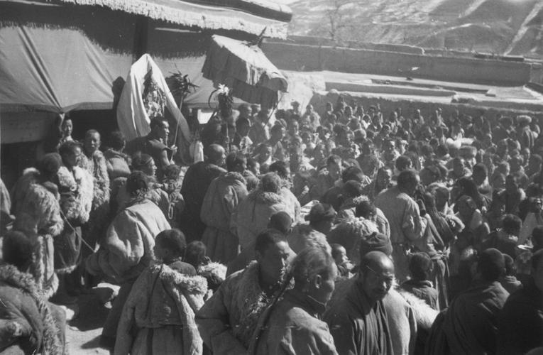 属蛇人牛年运势 蛇在2o2l年运气 属蛇人牛年运势 蛇在2o2l年运气