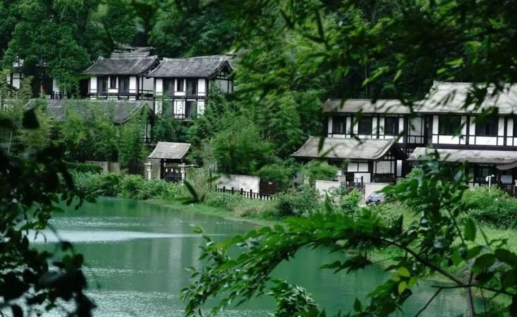 2025女孩起名文雅是否能带来恋爱关系稳定的幸福生活(2025女孩起名文雅