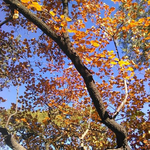 双方八字测婚姻 两人八字测姻缘 双方八字测婚姻 两人八字测姻缘