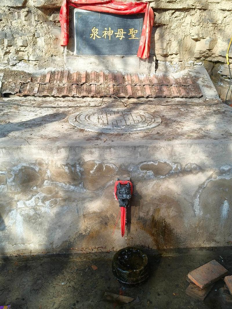 A血型属猪人的人生 A血型属猪人的人生