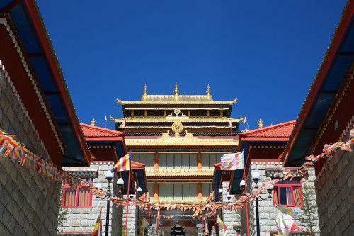 属牛2025年9月运势详解 属牛2025年9月运势详解