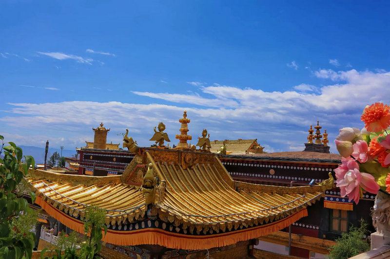 徐佳宁是什么高干徐佳宁是有钱人吗 徐佳宁是什么高干徐佳宁是有钱人吗