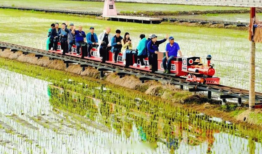 �����˹���ÿ������ 1998������2018�����Ƽ��˳�