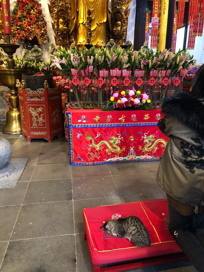 立冬后面是什么节气 天气情况如何 立冬后面是什么节气 天气情况如何