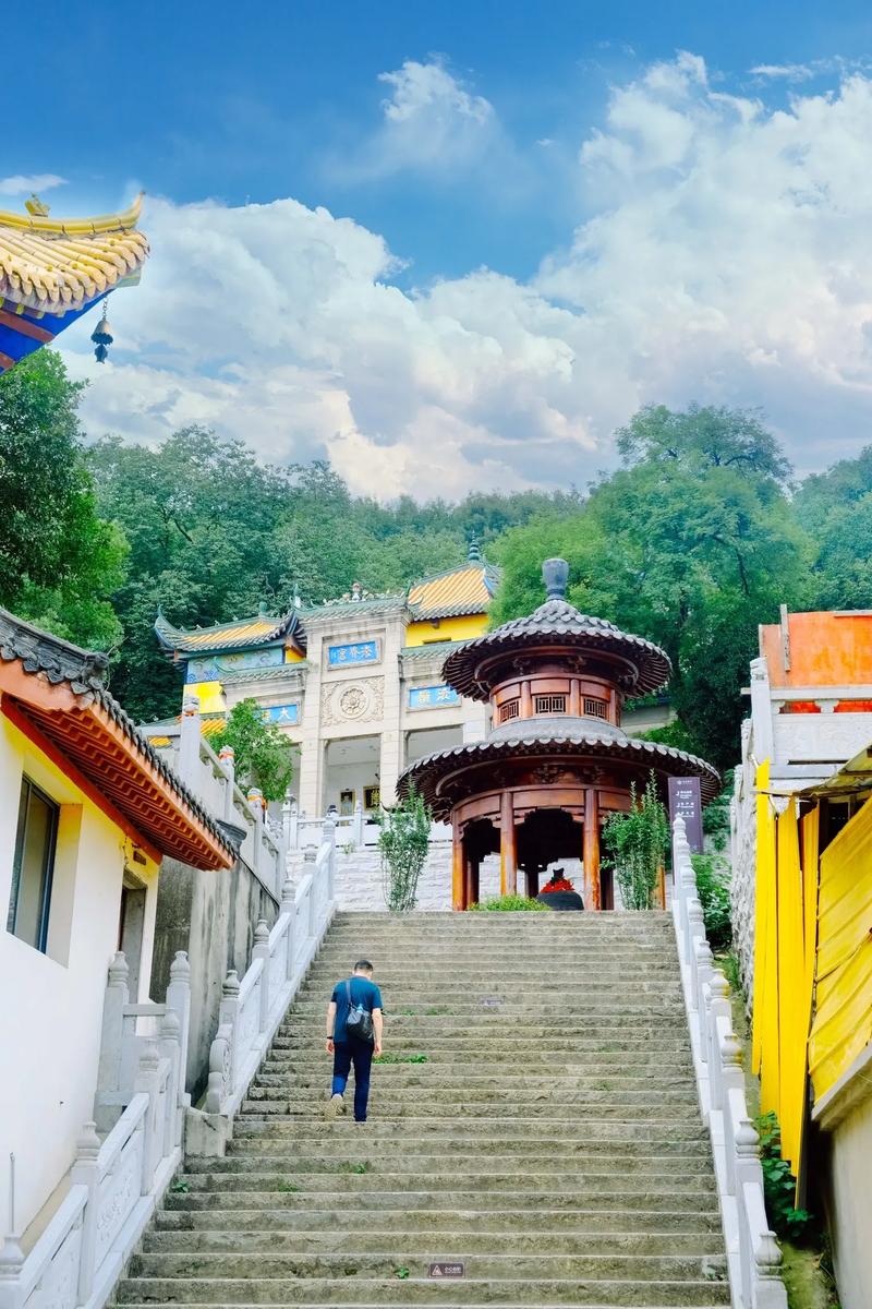 1952年属龙的人2017年运程 1952年属龙的人2017年运程