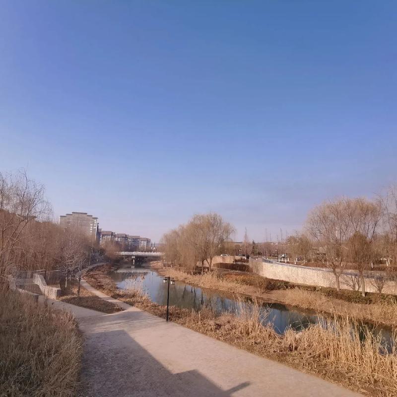 ԲͼƬֽǷӰƵĸ֪ͱ