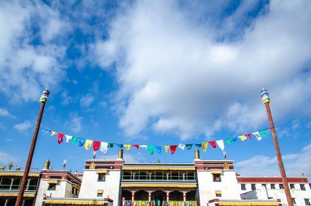 ָ᲻ӰҶԵӰ͵ѡ(ָϲĵӰǷг)