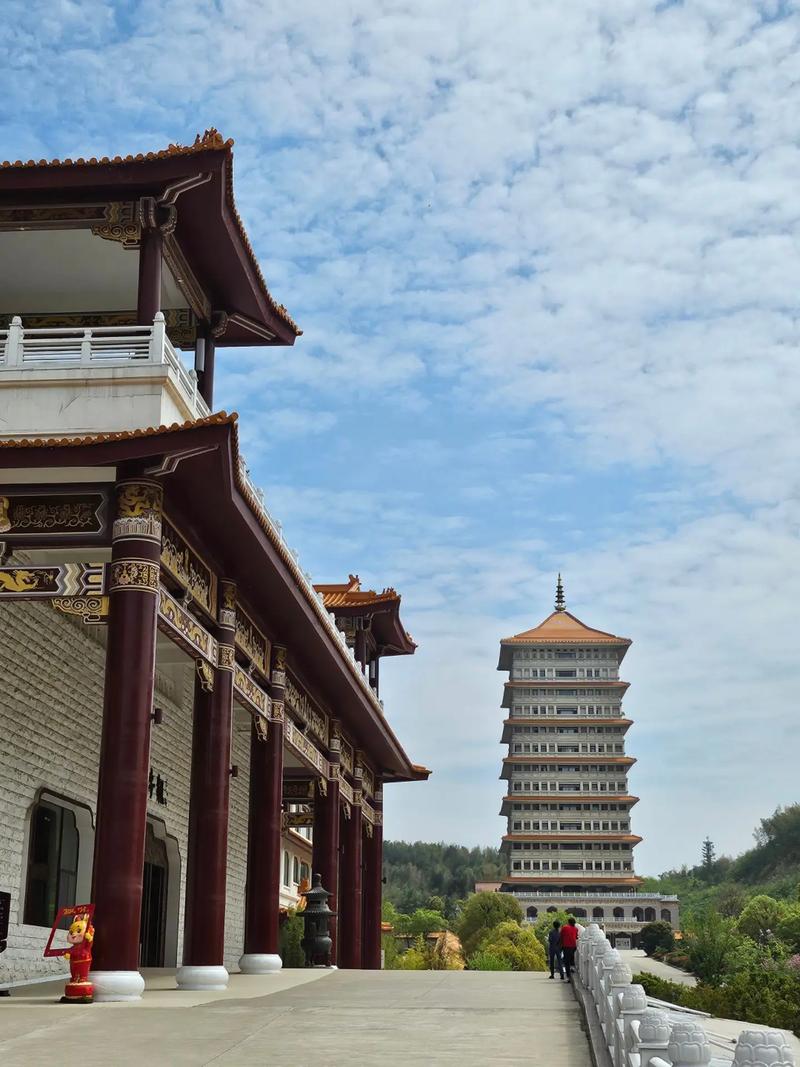 ֲ⿼ӰԵӰ͵ϲѡ(ֲ⿼ܷҿĵӰ֮)