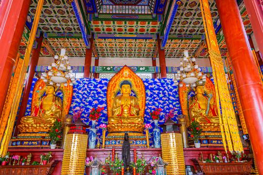 ԷǷΪ˵ʲô(ԷǷӰ״δƸ)