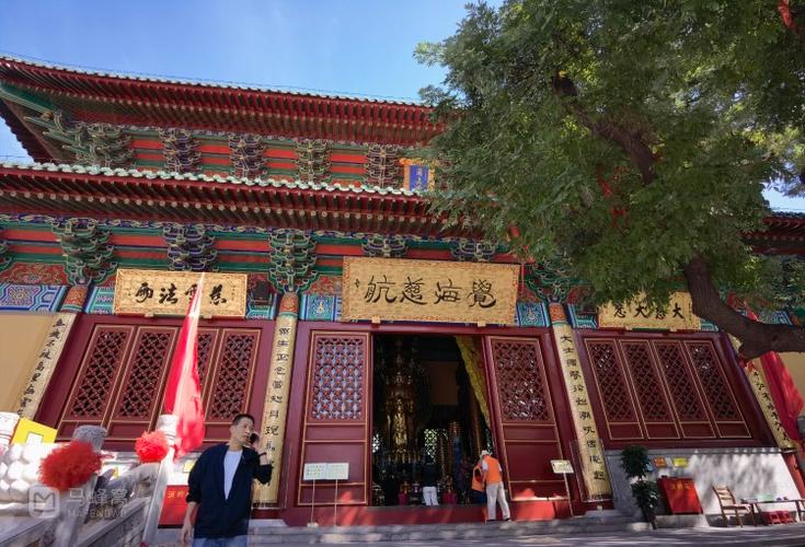 属猪6月20号运势 属猪人今日运势11月6日是什么意思? 属猪6月20号运势 属猪人今日运势11月6日是什么意思?