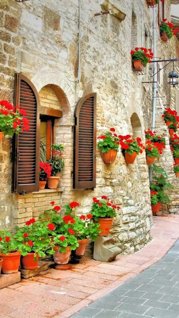 1978年属马男2025年十二个月运程 1978年属马男2025年十二个月运程