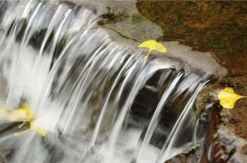 阴宅风水定生死,怎么看阴宅风水的好坏 阴宅风水定生死,怎么看阴宅风水的好坏