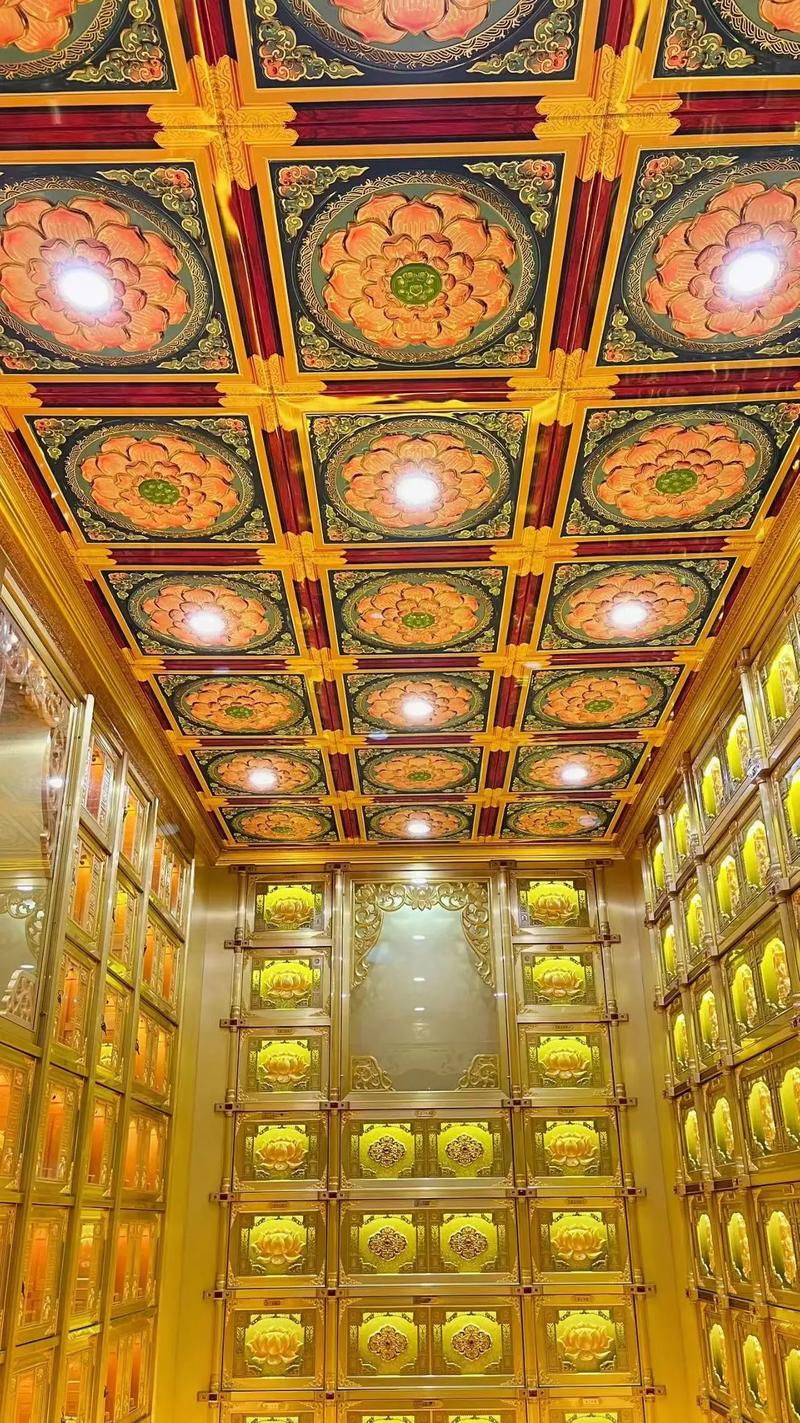 王楚钦的现任女友叫什么 王楚钦的现任女友叫什么