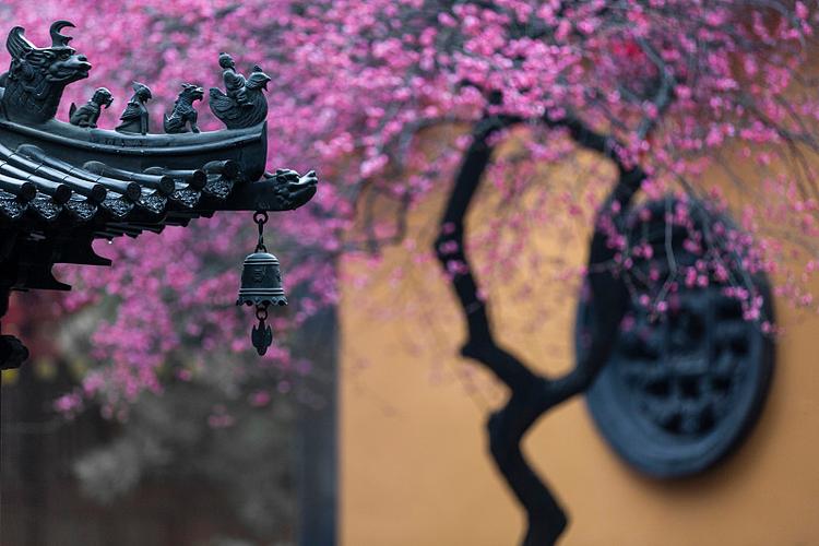 �����Ʒ��� 2025��5��29�ղ���λ����