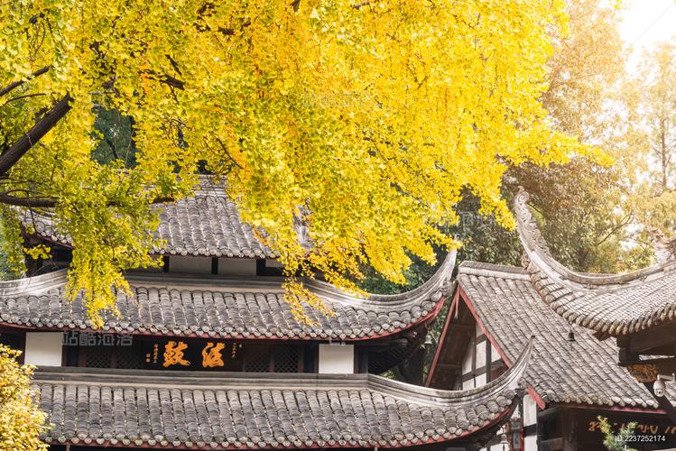 跑跑卡丁车名字符号餐厅吊顶风水 跑跑卡丁车名字符号餐厅吊顶风水