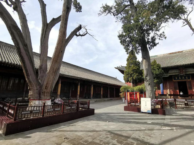 ʮ�������鳡����