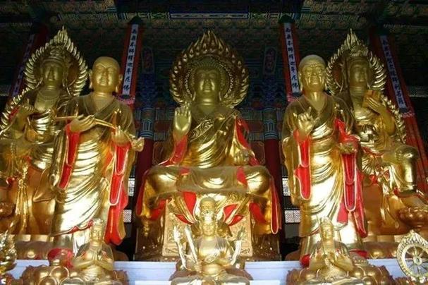 ְ����˫����Ա������̬�����