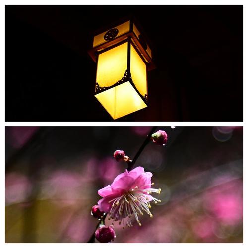 ʮǷױ[ʮᱻʲôŮϲ]