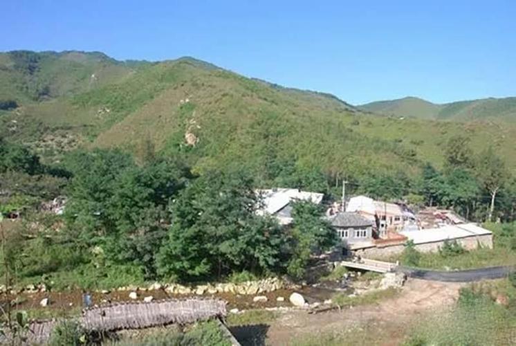 2024괺ֽд ɫʲô (2024괺ʱ)