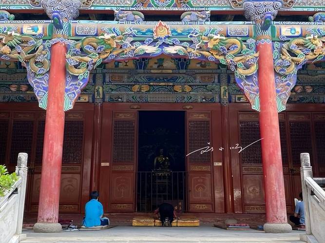 1984������������ 1984���������������ʲô��˼��