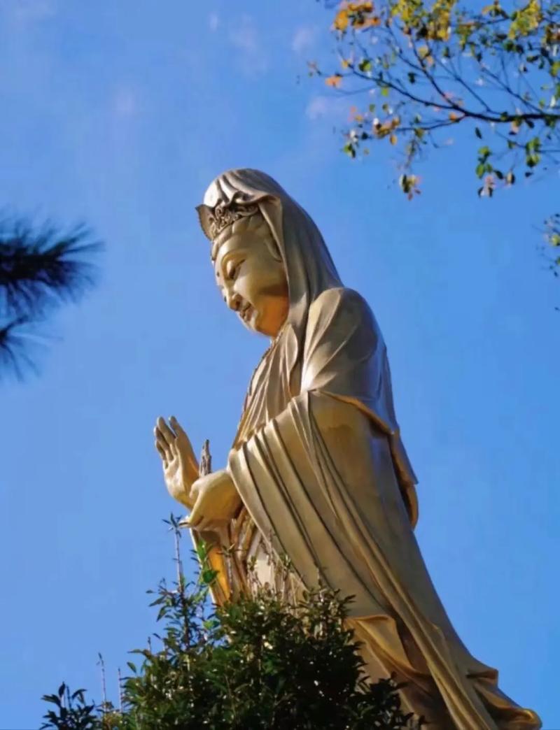 水瓶座女生很难被喜欢的人 水瓶女真的很招男人喜欢吗 水瓶座女生很难被喜欢的人 水瓶女真的很招男人喜欢吗