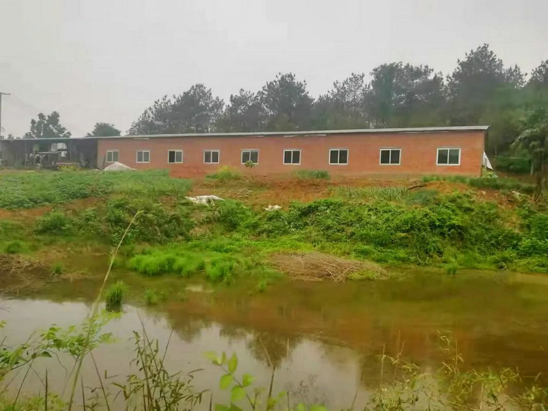 丹砂本命佛会影响我的时间管理吗怎么调整才能更好找到平衡(丹砂本命佛能否帮助狗年出生的人更好地管理时间) 丹砂本命佛会影响我的时间管理吗怎么调整才能更好找到平衡(丹砂本命佛能否帮助狗年出生的人更好地管理时间)