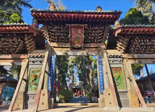 属猪人2025年爱情运势 属猪人2025年爱情运势