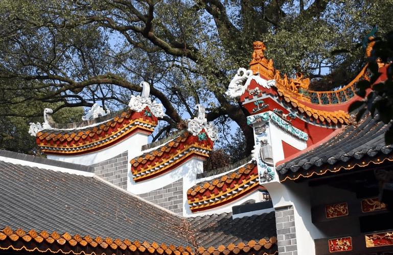 天底星座巨蟹 天底星座巨蟹