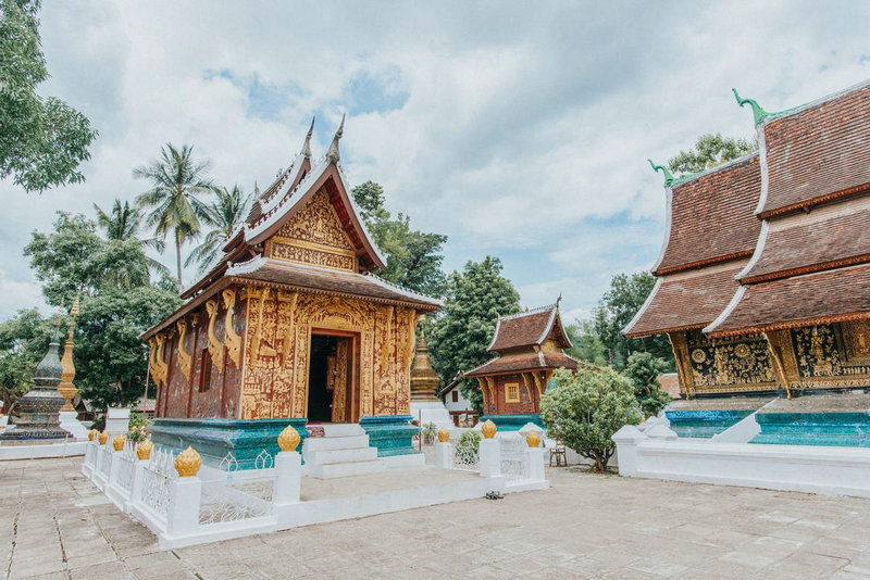 ��Фţ������ɵ�����