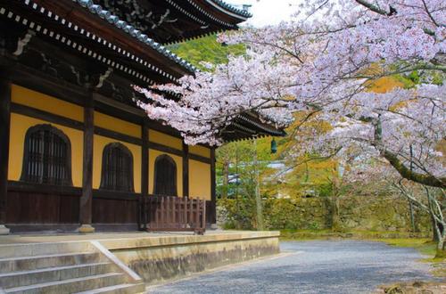 怎么看手相看健康 怎么看手相看健康