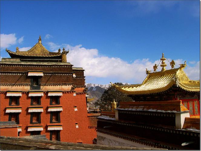 �׽�������������(�׽���������ô��ʶ��)