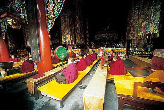 ŮǷƽ޼໥Эгϵ(ŮǷַ໥ЭĴﶬ֮)