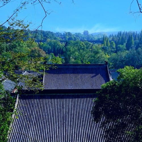 2025�그̫�갸����������Ф��ְҵ��չ��Ӱ�����������(2025�그̫�갸������Ϊ����Ф���ְҵ��չ����ƿ��)