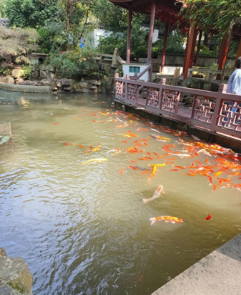 ţ 2024  2  3ս (ţ2024Ƽ˳)