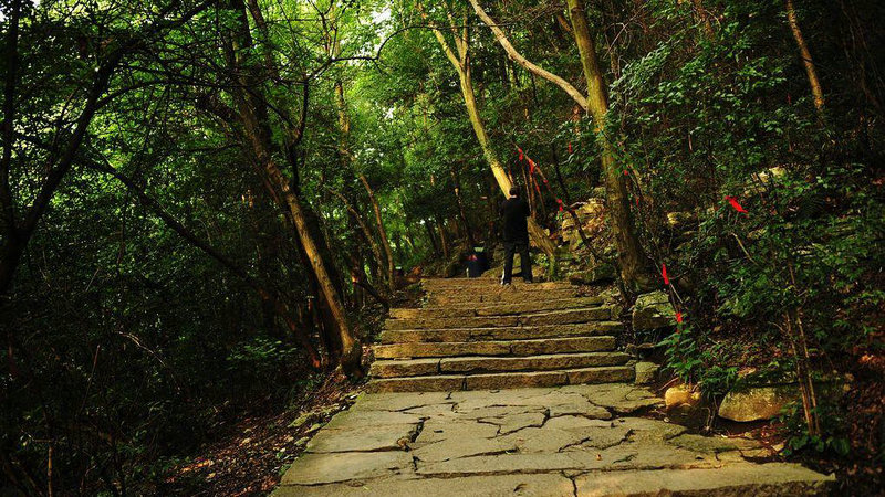 新历是5月14号是什么星座 五月份14号是什么星座 新历是5月14号是什么星座 五月份14号是什么星座