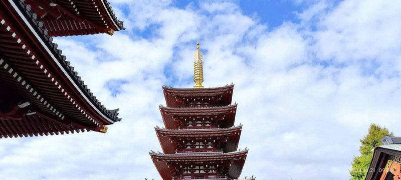 任敏出生于湖南哪里 任敏个人经历 任敏出生于湖南哪里 任敏个人经历