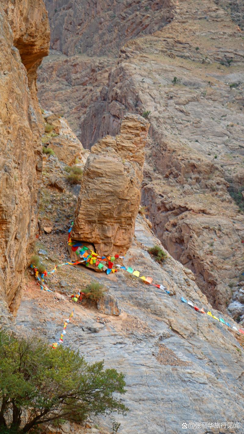 异地成名的手相 异地成名的手相