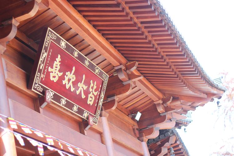 ֲӰۻƵ뻷׵ĹϵǷֵùע(ֲΪλӰۻƵʵļ׷ˮ)