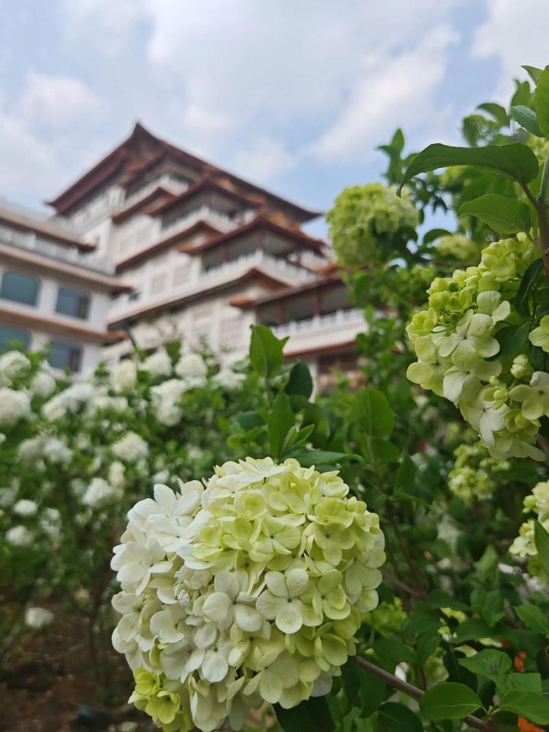 店中财位摆什么位置,家居中财位摆放什么位置比 店中财位摆什么位置,家居中财位摆放什么位置比