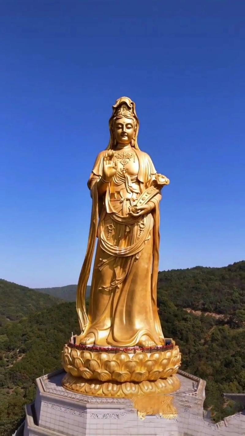 ����ʲô�������� 84���������������ʲô��˼��